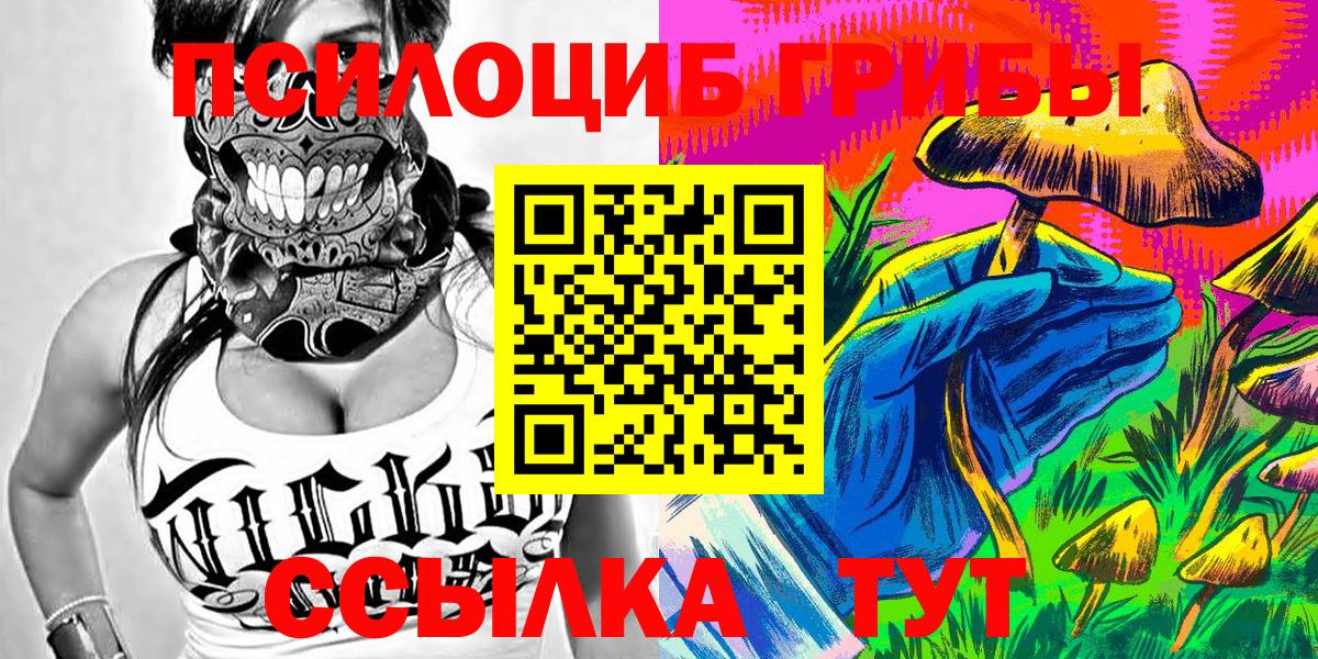 Галлюциногенные грибы ЛСД Зеленогорск